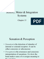 Sensory, Motor & Integration Systems