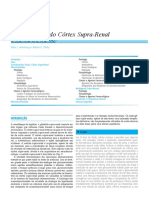 27 - Farmocologia do Córtex Supra-Renal.pdf