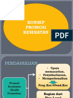 Promosi Kesehatan