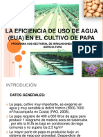 Eficiencia de uso de agua.pdf
