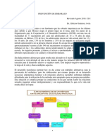 Prevención de Embarazo PDF