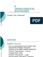 anatomimuskuloskeletal ppt.doc