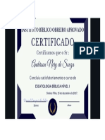 Anderson Nery Certificado