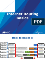 Internet Routing Basics