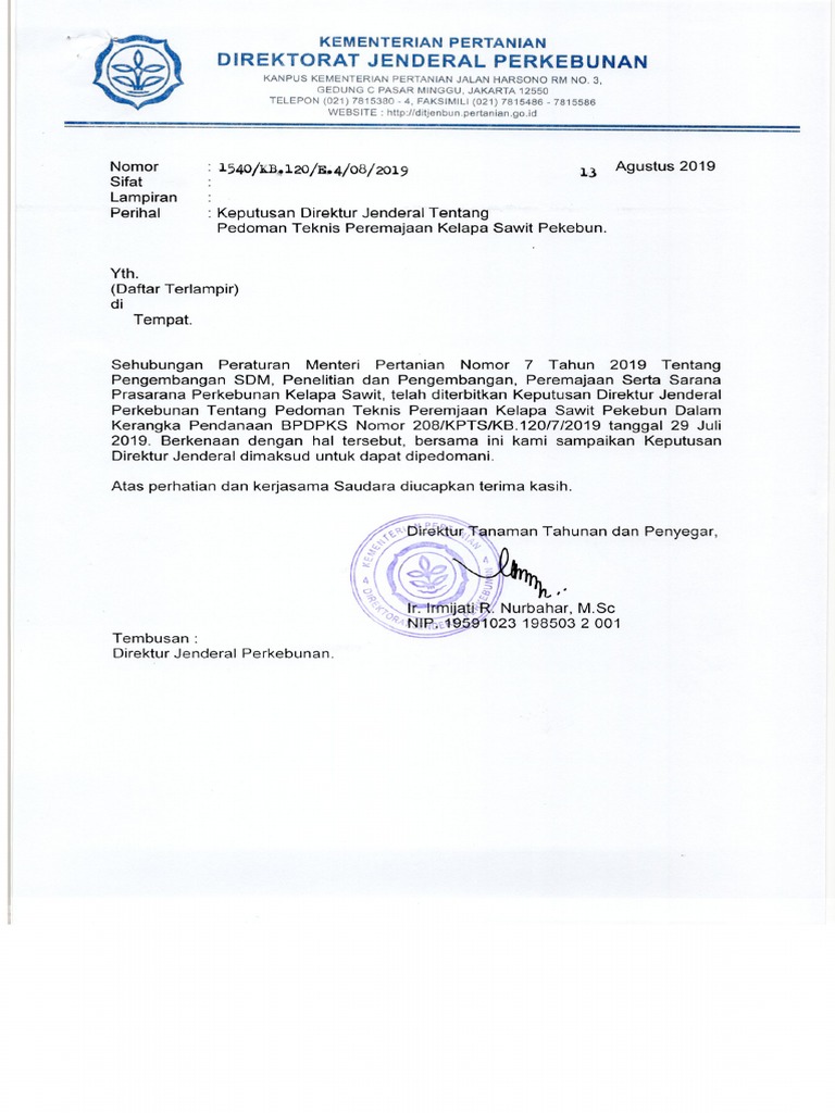 Contoh Surat Pengunduran Diri Dari Perusahaan Kelapa Sawit Nusagates