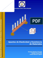 Apuntes ERM PDF