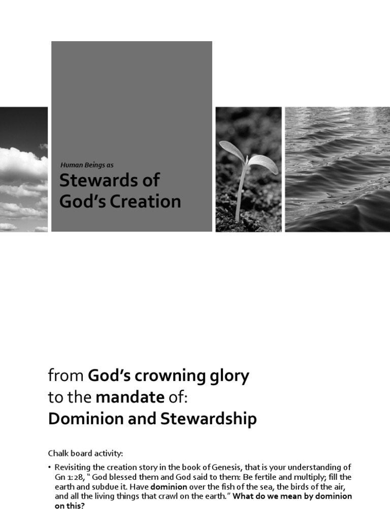 Human Stewardship of Creation | PDF | Free Will | Catholic Social Teaching