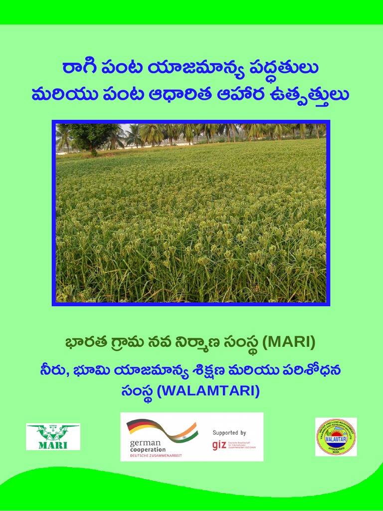 Ragi PDF | PDF