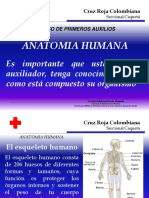 01 Anatoma Humana.ppt