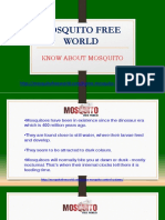 Know About Mosquito