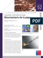 Ficha 52 Rizoctoniasis de La Papa