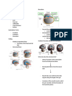 Embryology GIT