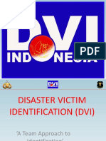 01. DVI Overview_id