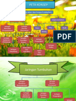 JARINGAN TUMBUHAN