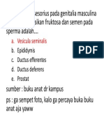 Kelenjar Aksesorius Pada Genitalia Masculina Yang Mensekresikan Fruktosa Dan Semen Pada Sperma Adalah