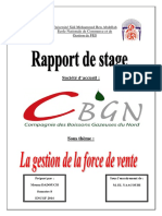 Rapport de Stage CBGN