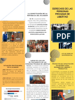Derechos de Las Personas Privadas de Libertad PDF