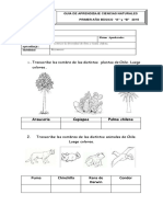 Guia para Primero PDF