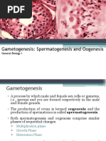 Oogenesis and Spermatogenesis