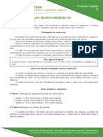 9. Consórcio de milho feijão e abobora ou moranga (MILPA).pdf