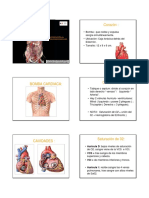 Generalidades Del Sistema Cardiovascular PDF