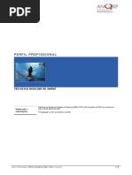 729281 Tcnicoa Auxiliar de Sade Perfil Prof