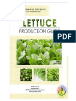 Lettuce (1).pdf