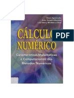 Cálculo_Numérico_Características1