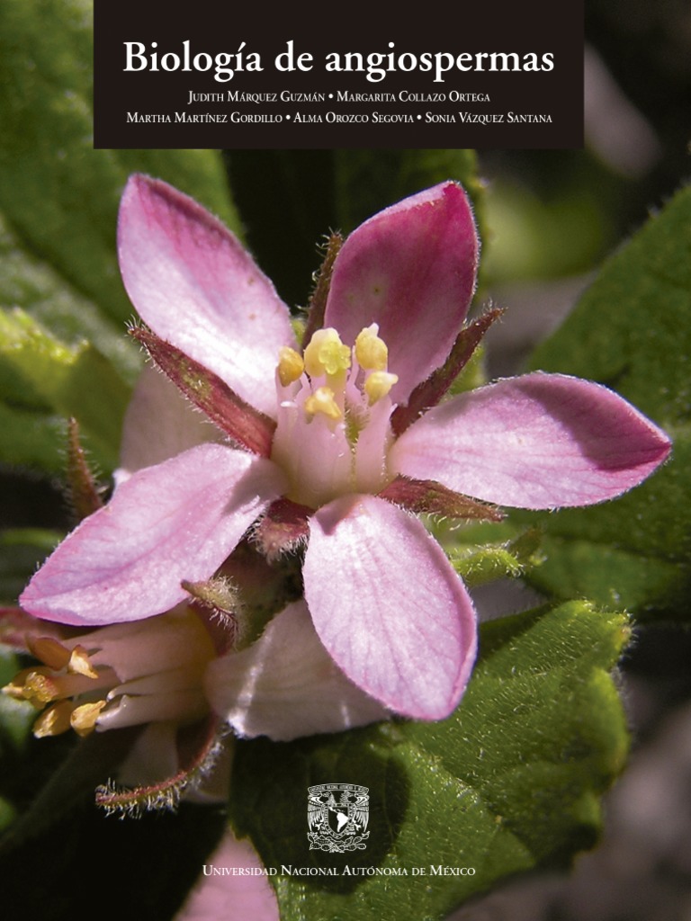 Biología de Angiospermas PDF | PDF | Flores | Plantas