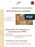 Fundamentos morfológicos de los animales domésticos