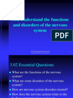 3.02 Understand The Functions and Disorders of The Nervous System-1