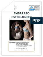 2.embarazo Psicologicio