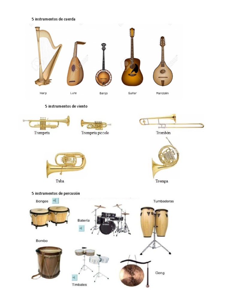 5 Instrumentos de Cuerda, Viento Percusion | PDF