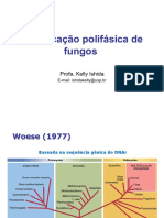 Identificação polifásica de fungos.pdf