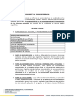 Formato de informe pericial.docx