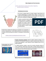 Tema I. Examen Del Paciente, Alteración de Las Relaciones Intermaxilares. Diagnóstico, Pronóstico y Plan de Tratamiento