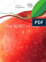 -Test- test-audit-y-cage.pdf