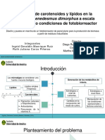 Diapositivas Sustentacion Trabajo de Grado Finales