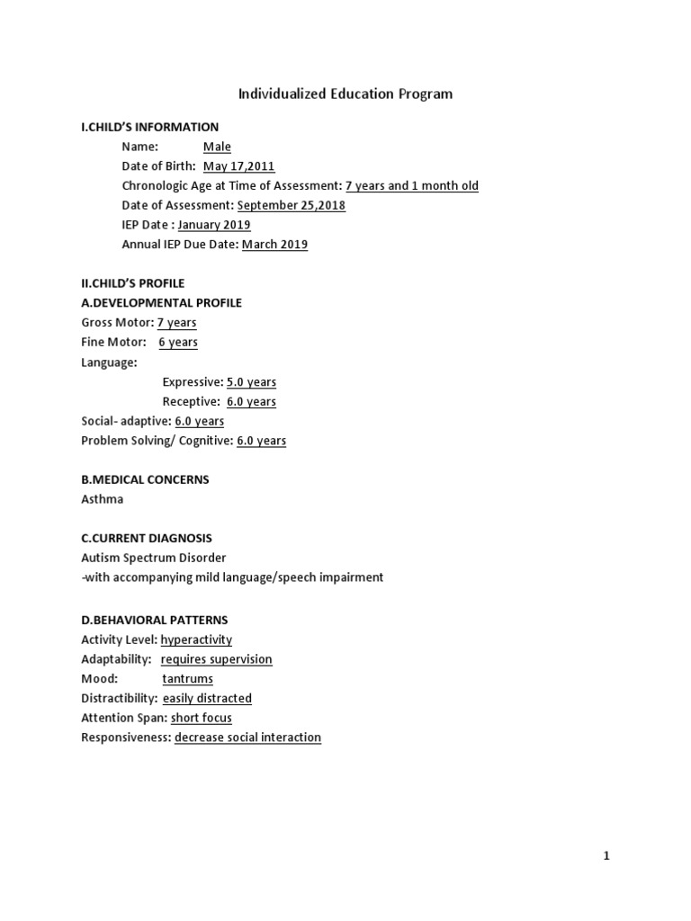 Individualized Education Program: I.Child'S Information | PDF ...