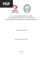 relatório santa casa 2018.docx