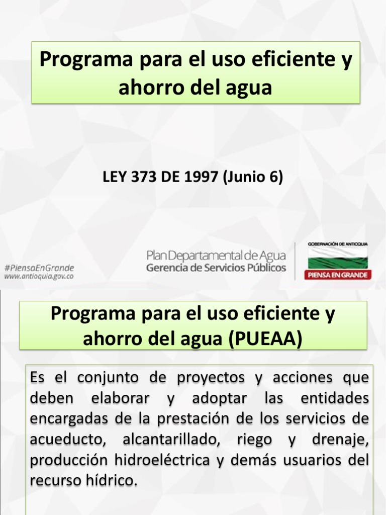 Programa para El Uso Eficiente y Ahorro Del | PDF | Riego | Agua