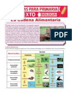 La cadena alimentaria: los roles de los seres vivos en el ecosistema