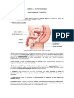 Sistemas Reprodutores