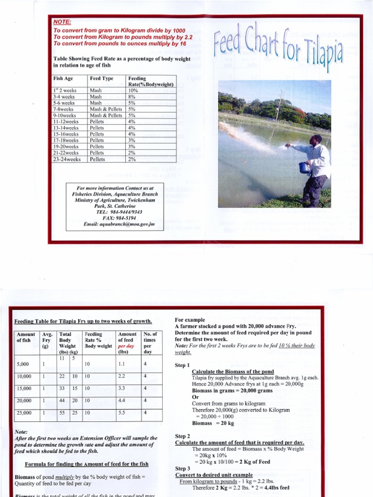 Feed Chart Tilapia Pdf