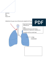 H Influ Affects The Upper Airway Ie Rhinosinusistis, Epiglottitis NOT Lungs