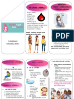 Leaflet Anemia Dikonversi