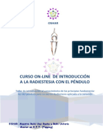 EL PENDULO Curso ON-LINE en la Web.pdf