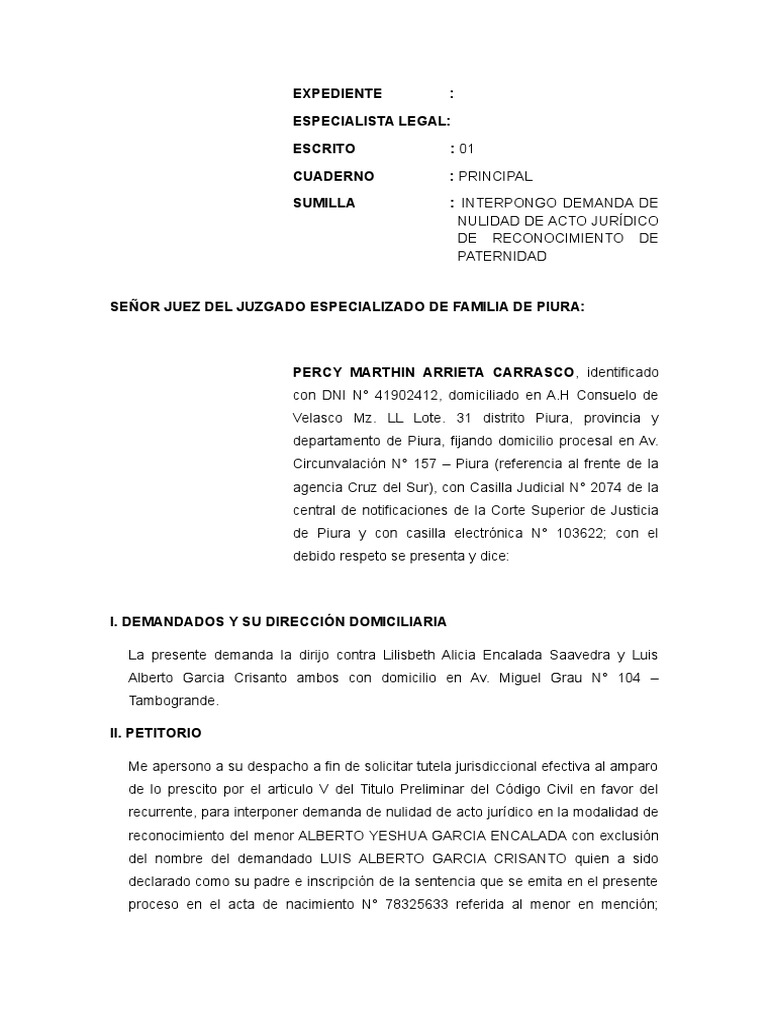 Demanda de Nulidad de Acto Jurídico de Reconocimiento de Paternidad | PDF |  Demanda judicial | Justicia