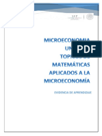 sub microecono.docx