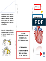 Folleto Desarrollo Venoso